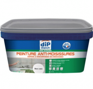 peinture anti moisissures blanc